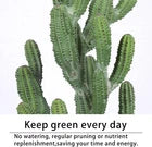 Artificial Cactus Plant 32 Inch Faux Desert Cacti Fake Cactus Potted Plant